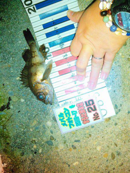 一匹いただきました！